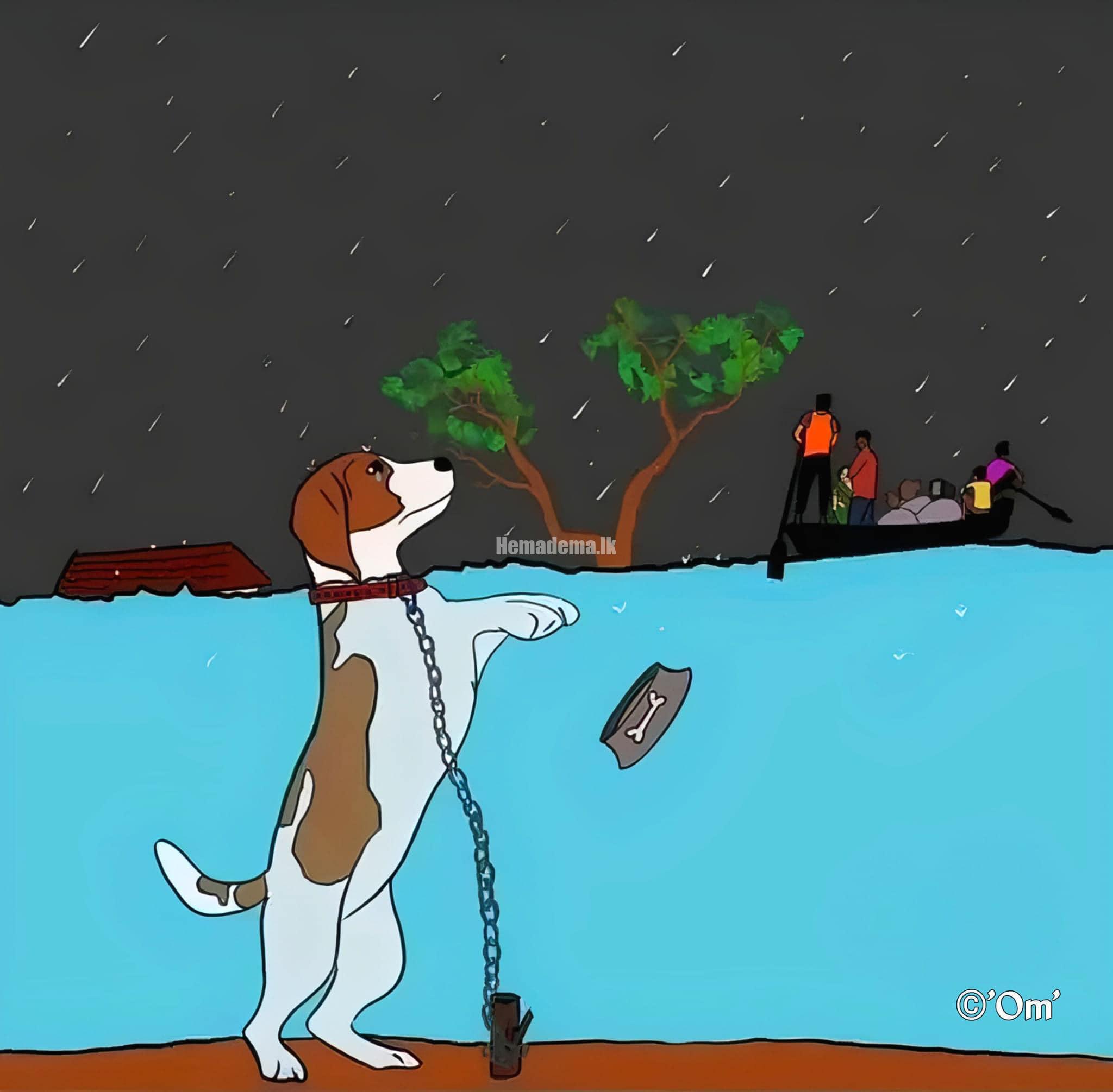 Data Entry Typing Operator – (Part Time) Works at Home (Online)